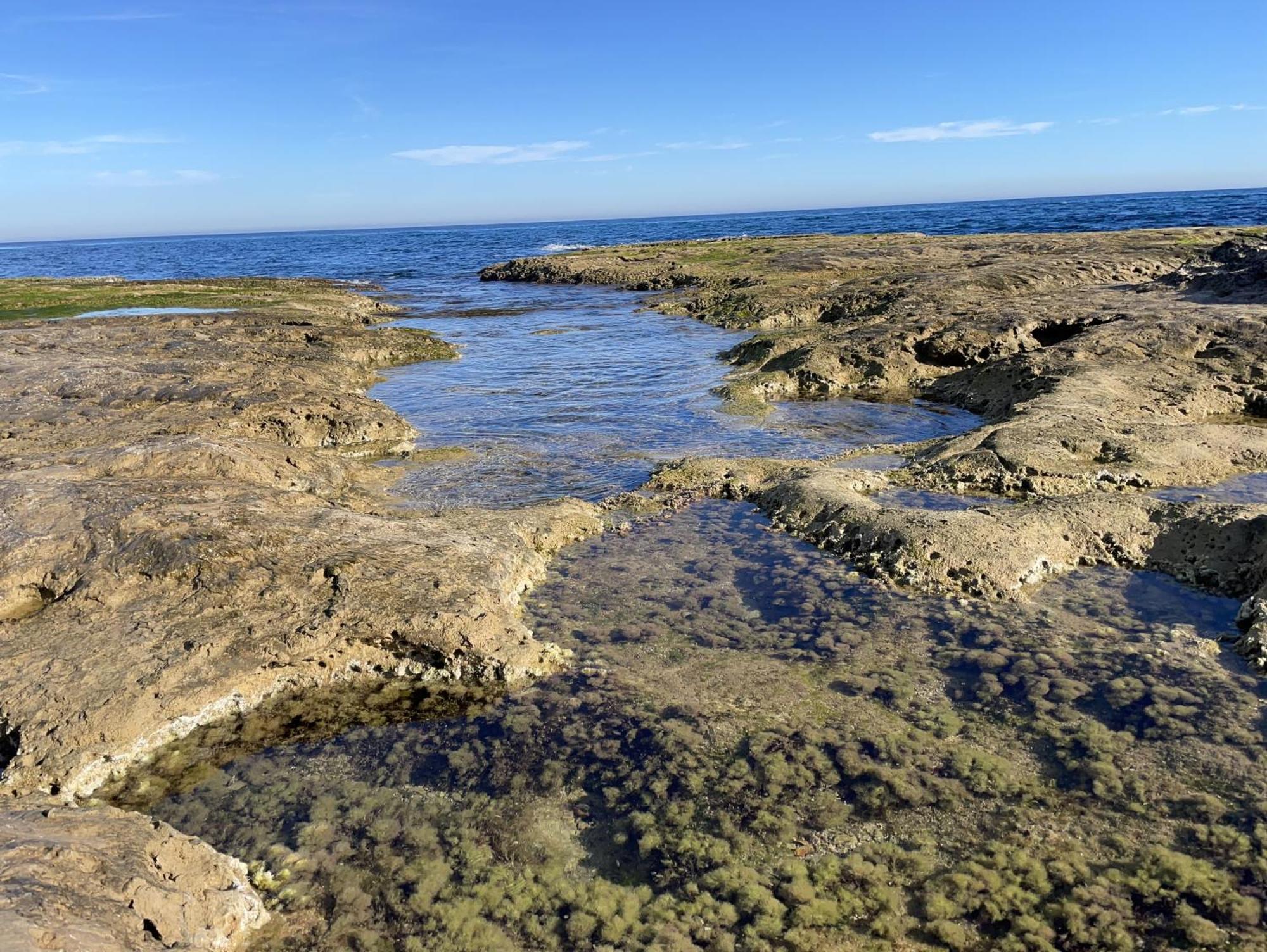 Villa Suerte Del Mar Τορεβιέχα Εξωτερικό φωτογραφία